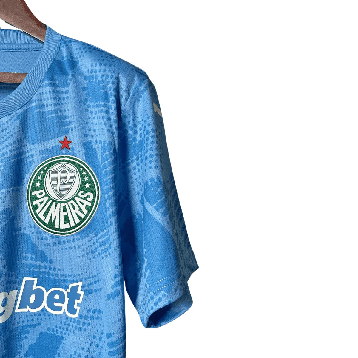 Camisa Palmeiras 25/26 Goleiro I Azul Torcedor Masculina